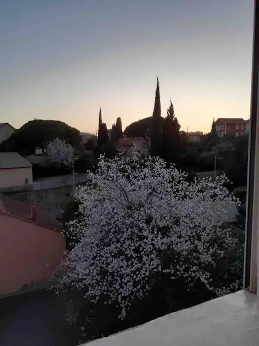 Apartamento Au Bord Du Ciel Magnifique Appartement A Bandol